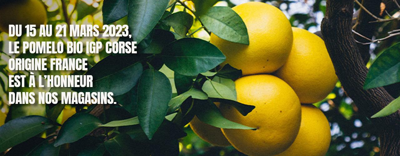 En Mars, le Pomelo est à l'honneur dans votre magasin !