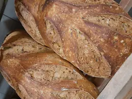 51-biocoop-champagne-des-mont-dor-magasin-bio-boulanger-pain-farine-local.webp